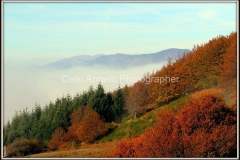 Autunno