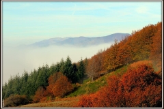 autunno