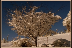 Paesaggi_12